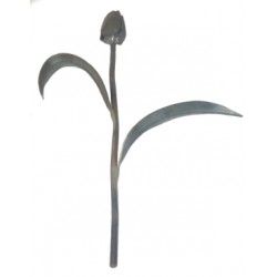 Kwiat kuty TULIPAN KARTUL01.1