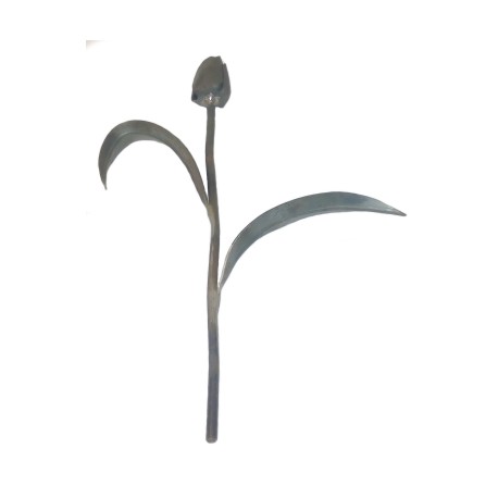 Kwiat kuty TULIPAN KARTUL01.1