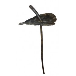 Kwiat kuty KARANT01.1